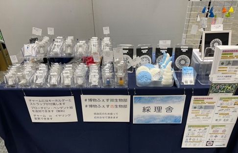 博物ふぇすてぃばる！ブース